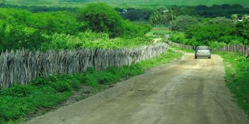 Zona Rural: projeto prevê endereços digitais no Estado de São Paulo 
