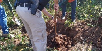 Tribunal do Crime em Perdões  :Corpo encontrado em Joanópolis pode ser de homem julgado pelo PCC