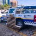Crime ambiental : Três homens foram presos com 65 aves silvestres   