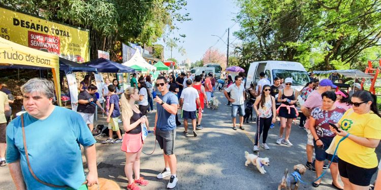 Adiada, 2ª Cãominhada acontece amanhã no Lago do Taboão