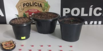 DISE detém adolescente de 15 anos com ecstasy e pés de maconha