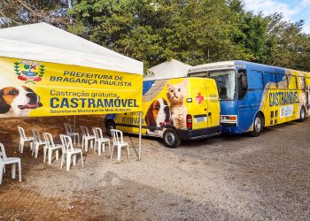 Castramóvel ganha plataforma online para população agendar atendimento