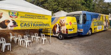 Novos agendamentos para Castramóvel abrem amanhã