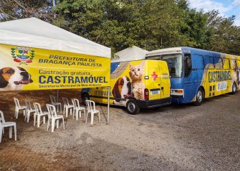 Abertas 480 vagas para Castramóvel no próximo final de semana      