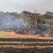 Zona Norte é a região mais atingida por queimadas nos últimos meses