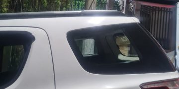 Em ação rápida, Força Tática prende dois por furto em residência no São José