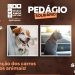 HUSF promove Pedágio Solidário em prol da Missão Amor que Cura