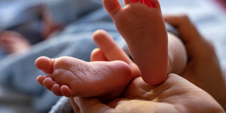 Saiba quais são nomes mais registrados em Bragança em 2023