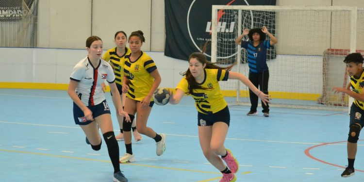 Liga de Handebol do Interior: Equipes de Bragança confirmam participação em campeonatos