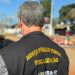 Estrutura da Expoagro é fiscalizada pelo Crea-SP 