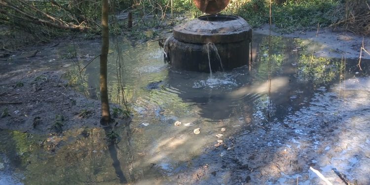 SABESP é multada em R$ 92,22 milhões por vazamento de esgoto