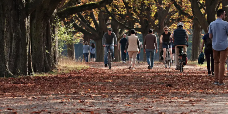 Outono traz mudanças climáticas para São Paulo