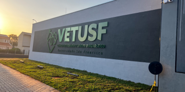 Clínica Veterinária da USF oferece atendimento 24 horas