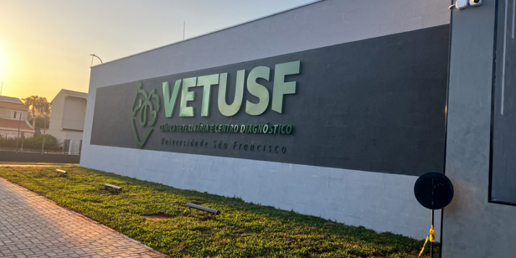 Clínica Veterinária da USF oferece atendimento 24 horas