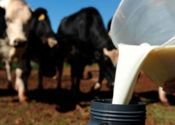 AGROINDÚSTRIA: Inscrições abertas para curso de processamento de leite