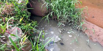 POR VAZAMENTO DE ESGOTO:  Sabesp é multada de novo e valor total chega a R$143.173.778,00