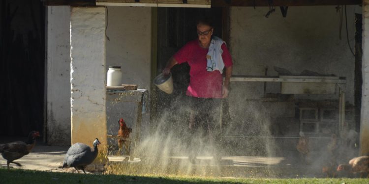 Olhares Rurais promove exposição sobre arte e vida rural em Atibaia