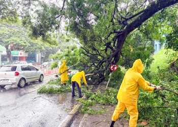 195,4 milímetros Bragança Paulista registra maior índice de chuva da região e bairros foram afetados