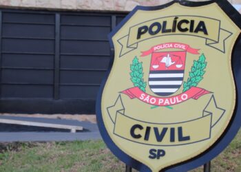 Drone ajuda polícia a encontrar 300 kg de drogas em chácara em Serra Negra