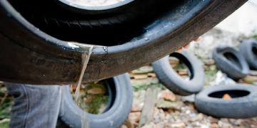 Casos de dengue em Bragança passa de 100 e preocupa autoridades 