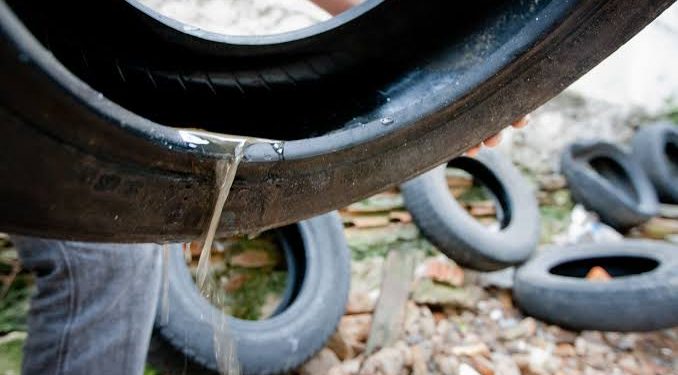 Casos de dengue em Bragança passa de 100 e preocupa autoridades