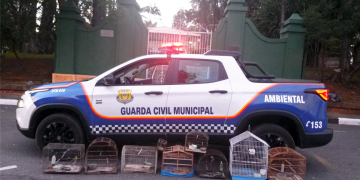 Guarda Ambiental apreende aves silvestres no Jd. Iguatemi