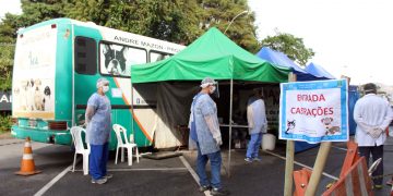 Bem-estar animal: Centro de Zoonoses está em construção na Zona Norte