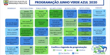 Meio Ambiente:  Atividades online buscam conscientizar população 