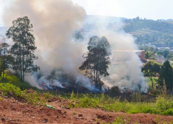 PM Ambiental realiza Operação de Proteção às Florestas
