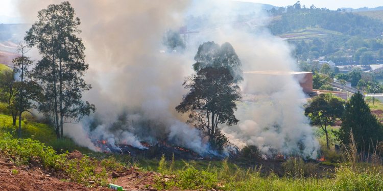 PM Ambiental realiza Operação de Proteção às Florestas