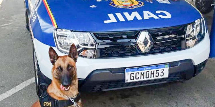 Operação Bairro Seguro