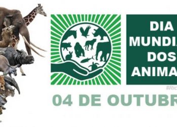 Vereadores votam apenas um projeto hoje