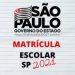 Governo de SP anuncia abertura do período de matrículas para ano letivo de 2021