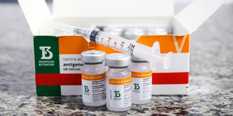 Funcionários do Município: 1.373 profissionais da educação e 143 agentes de segurança devem ser vacinados