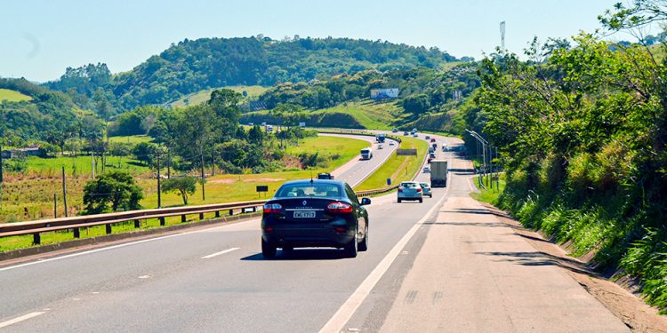 Corpo de homem assassinado é desovado na Fernão Dias