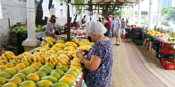 Feirantes e produtores rurais devem seguir normas de manipulação