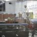 Câmara Municipal continua com atividades suspensas até 30 de abril