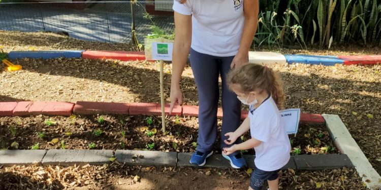 “Horta Escolar –  Cultivando Saberes” : Canteiros são revitalizados para retomada do Projeto com alunos da rede municipal     