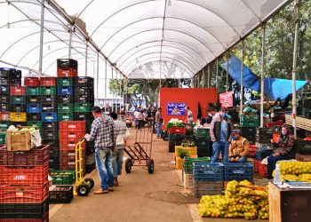 Direto do produtor: Ceasinha é opção de compra para a população 