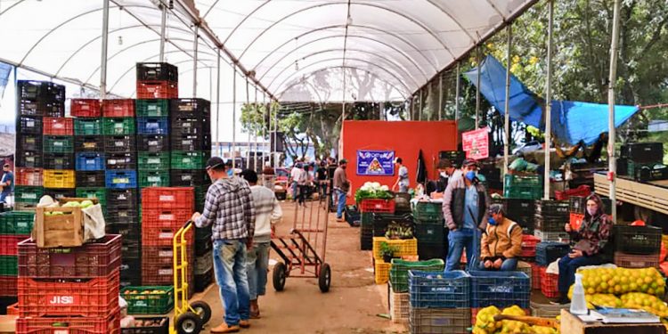 Direto do produtor: Ceasinha é opção de compra para a população 