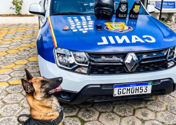 GCM prende três traficantes em Operação Bairro Seguro 