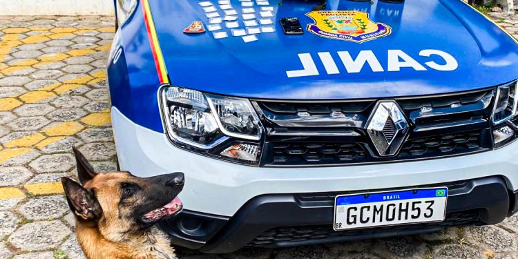 GCM prende três traficantes em Operação Bairro Seguro 