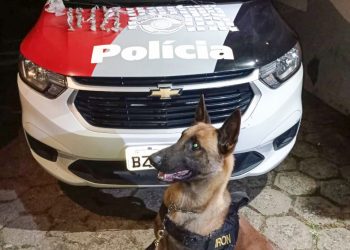 Equipe RPM-DEJEM prende traficante com mais de 100 porções de drogas no Santa Lúcia