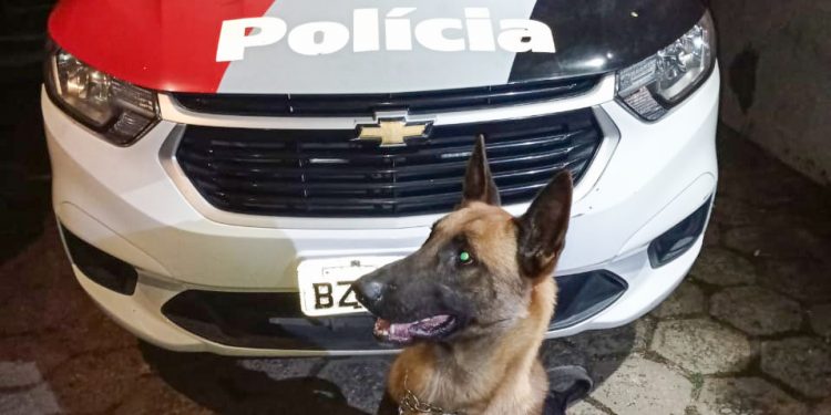 Equipe RPM-DEJEM prende traficante com mais de 100 porções de drogas no Santa Lúcia