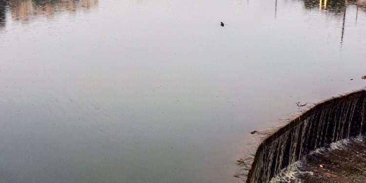 Segunda fase das obras do Lago da Hípica:  SABESP DIZ QUE DEPENDE DO MINISTÉRIO PÚBLICO