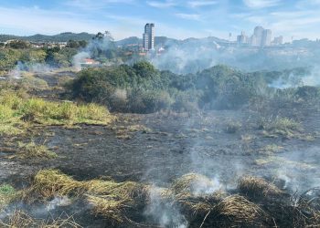 Incêndio atinge terreno ao lado do Paço Municipal