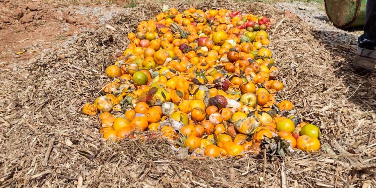 Em feiras livres:  Resíduos gerados destinados à compostagem em projeto piloto