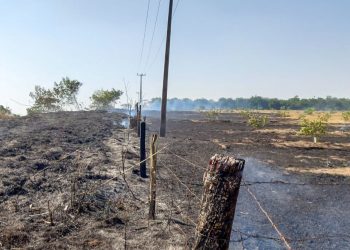 Queimadas provocam interrupções de energia e prejudicam clientes na região