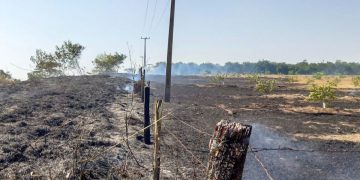 Queimadas provocam interrupções de energia e prejudicam clientes na região