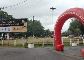 10ª Exposição Especial do Cavalo Mangalarga Marchador encerra neste sábado